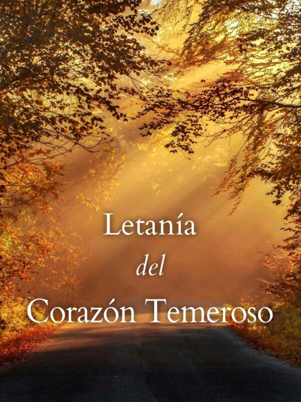 Souls & Hearts - Litanies of the Heart (by Dr. Gerry Crete) - Image 7