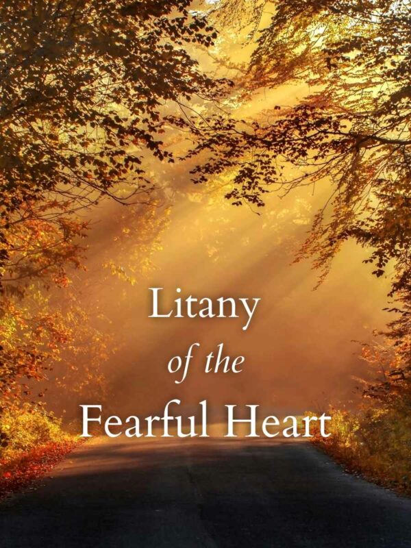 Souls & Hearts - Litanies of the Heart (by Dr. Gerry Crete) - Image 6